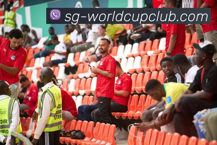 体育赛事信息平台生态图